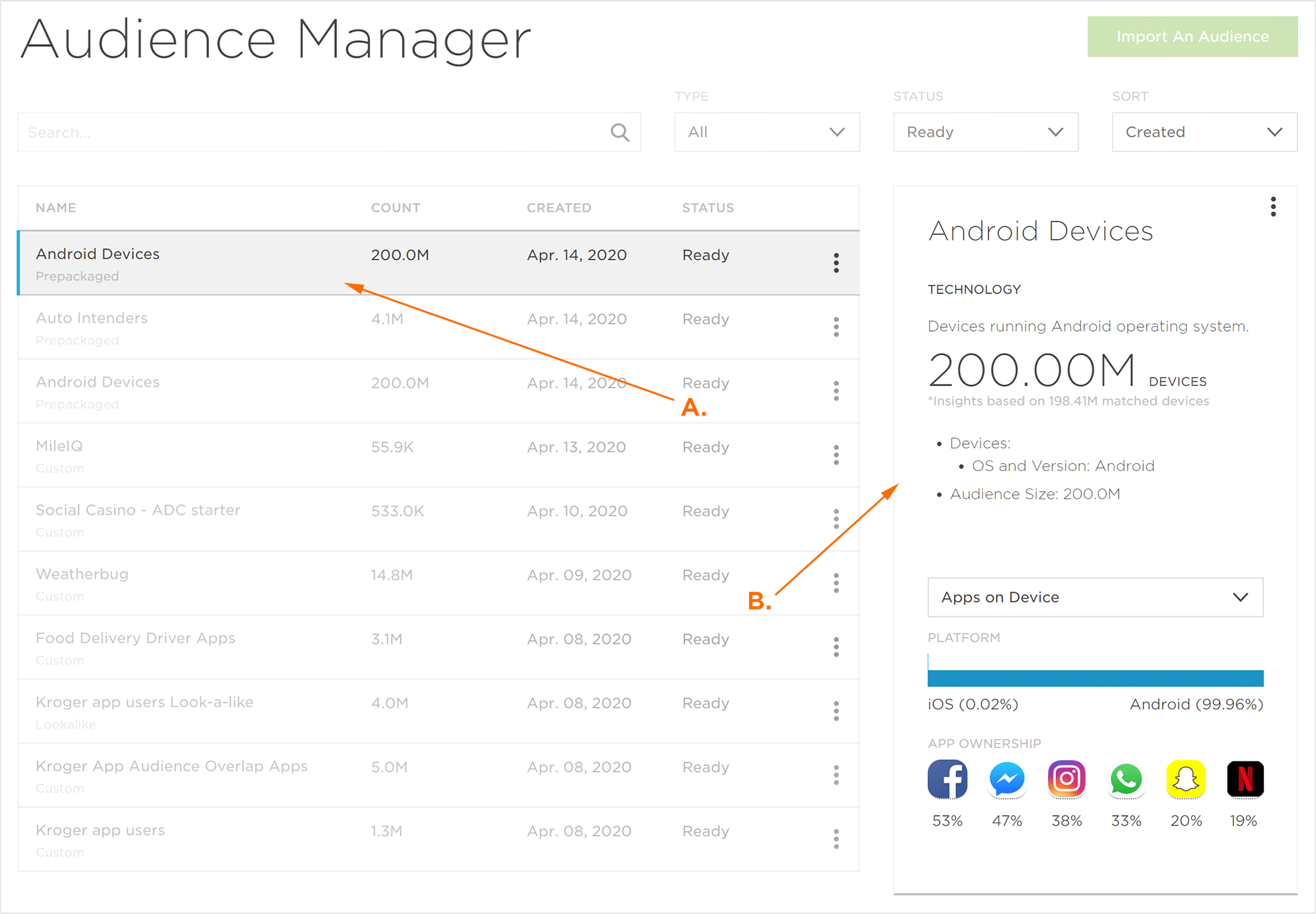 Audience Segment Details